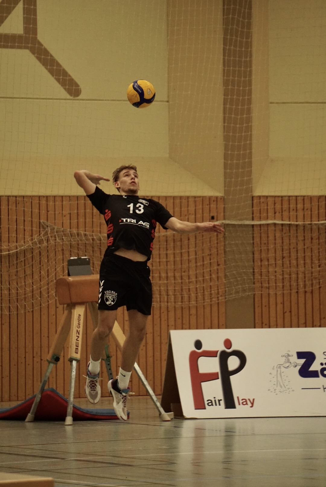Domi Bichler