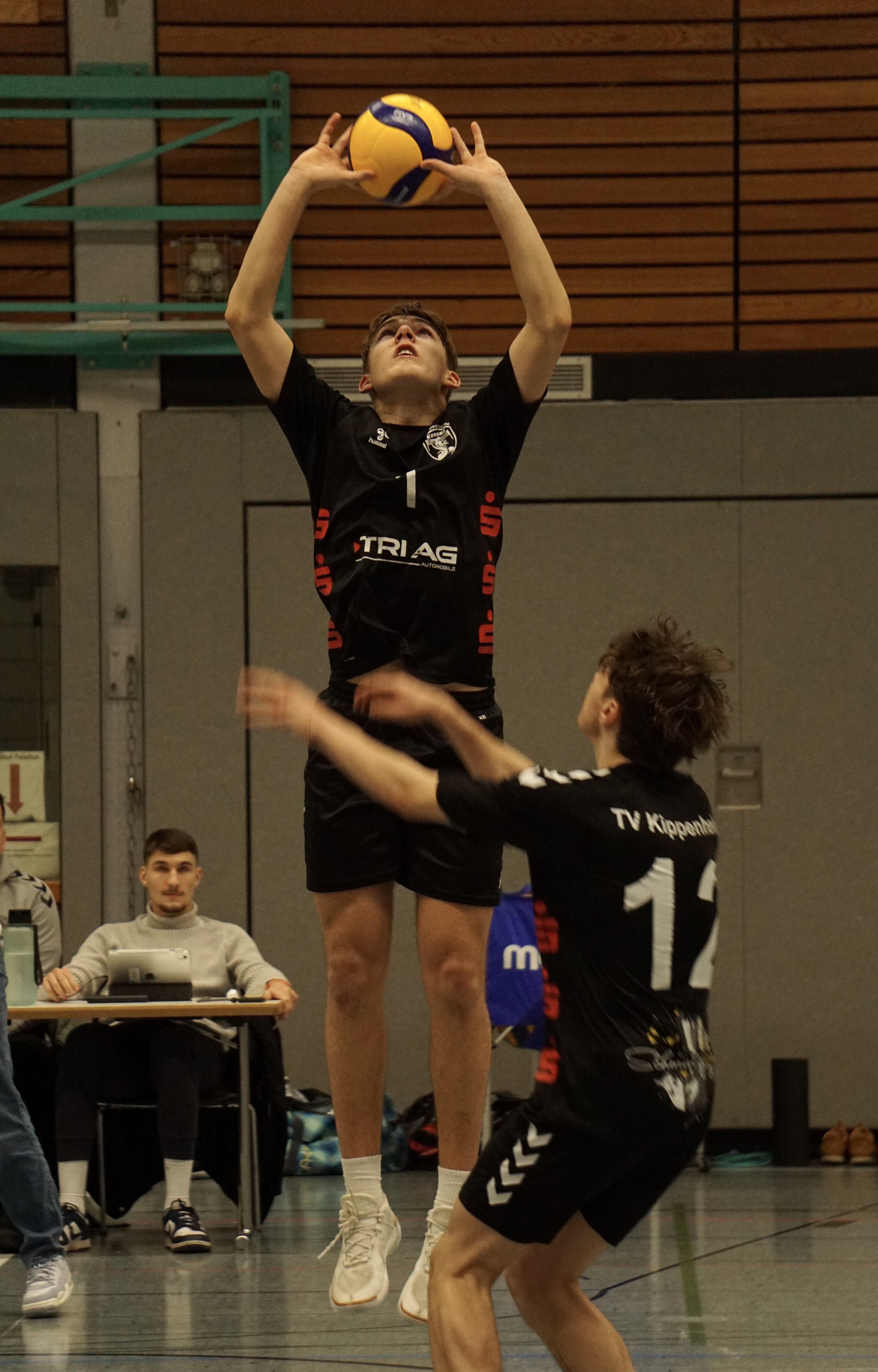 Alwin Bichler